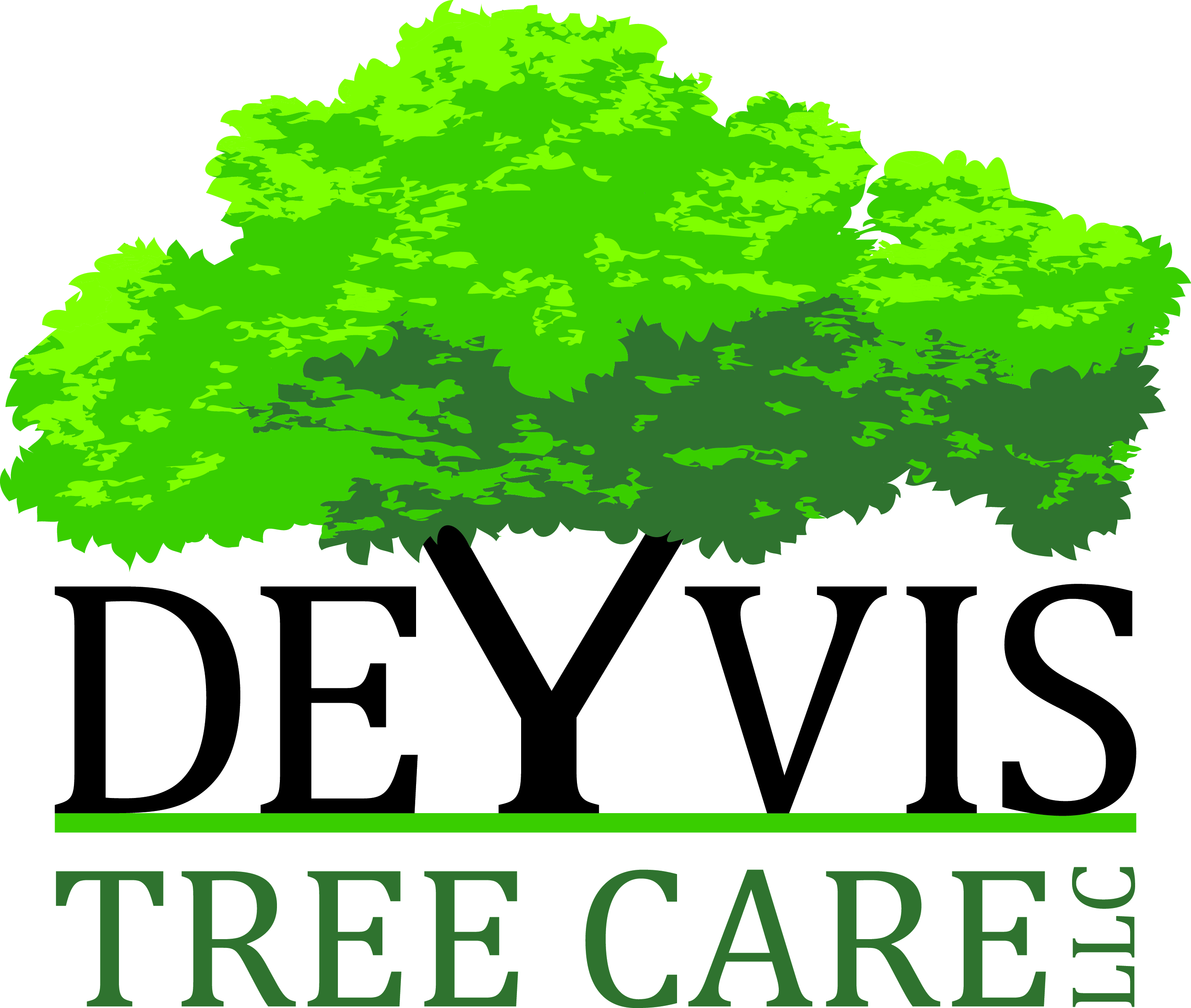 Deyvis Tree Care